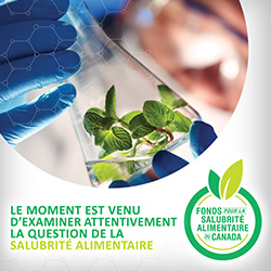Fonds pour la salubrité alimentaire du Canada