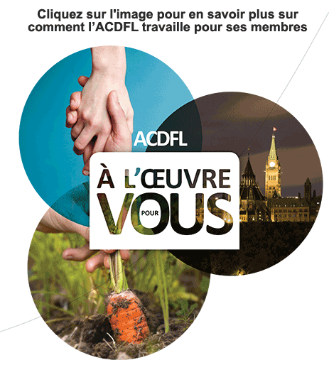 ACDFL à l'oeuvre pour vous ! ACDFL à l'oeuvre pour vous !